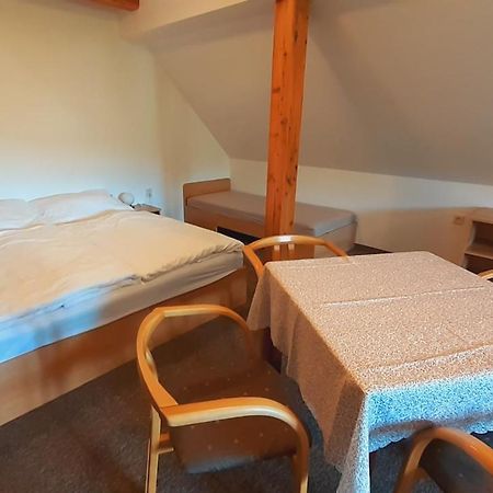 Penzion Bona Rokytnice nad Jizerou Extérieur photo